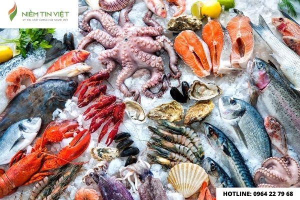 Ngoc picture » Điện Lạnh Niềm Tin Việt 2025 sua tu dong tai nha - sửa tủ đông tại nhà