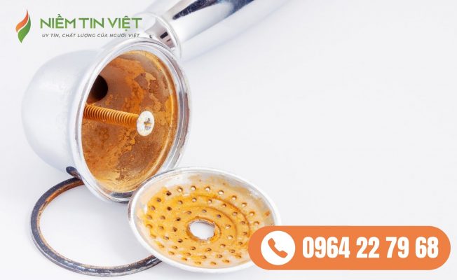 hong voi hoa sen