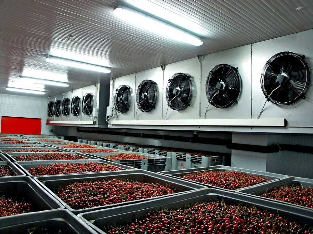 sửa kho đông - sua kho dong