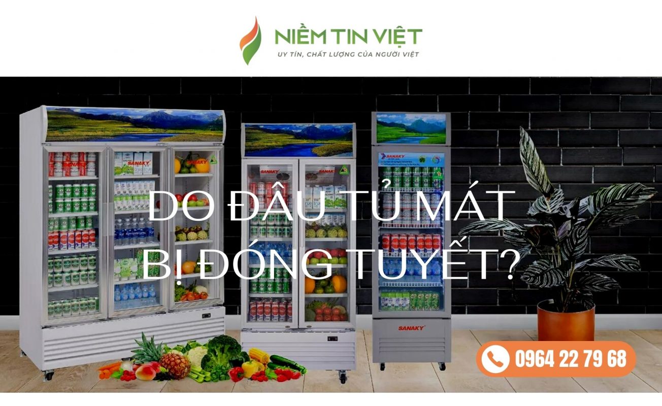 do dau tu mat bi dong tuyet » Điện Lạnh Niềm Tin Việt 2025 do-dau-tu-mat-bi-dong-tuyet