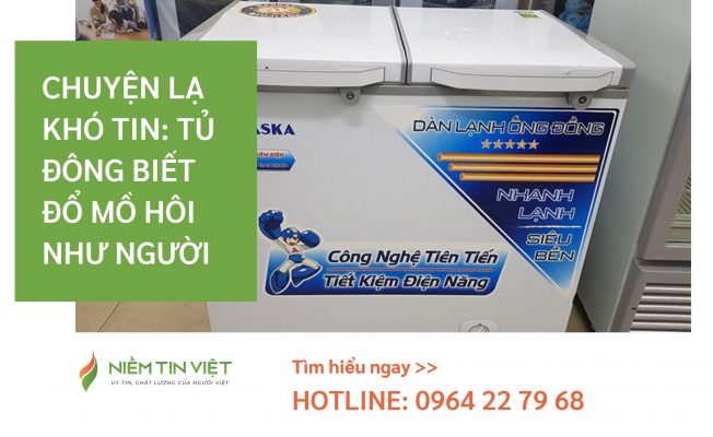 tu dong bi do mo hoi » Điện Lạnh Niềm Tin Việt 2025 tu-dong-bi-do-mo-hoi
