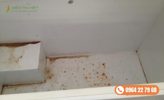 tu dong boc mui hoi do thuc pham » Điện Lạnh Niềm Tin Việt 2025 tủ đông có mùi hôi