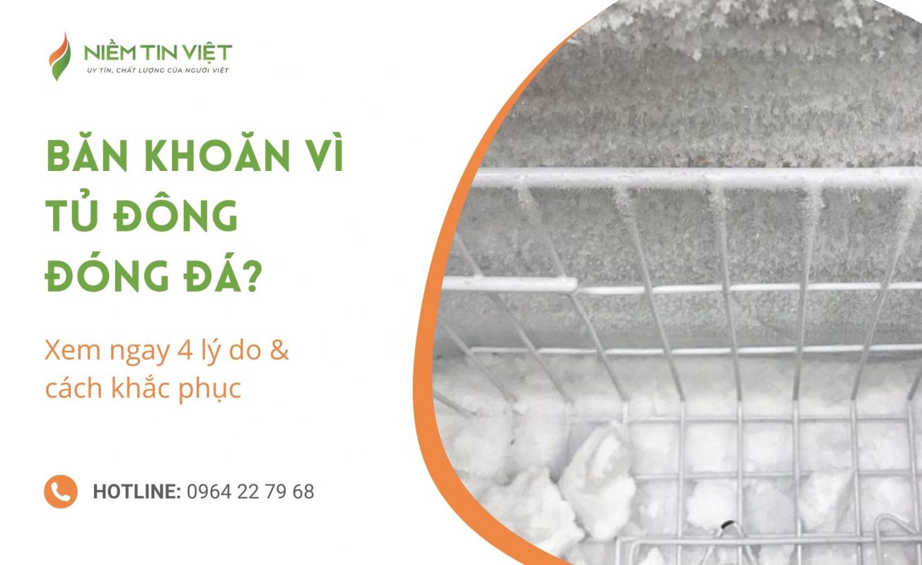 vi sao tu dong bi dong da » Điện Lạnh Niềm Tin Việt 2025 vi-sao-tu-dong-bi-dong-da