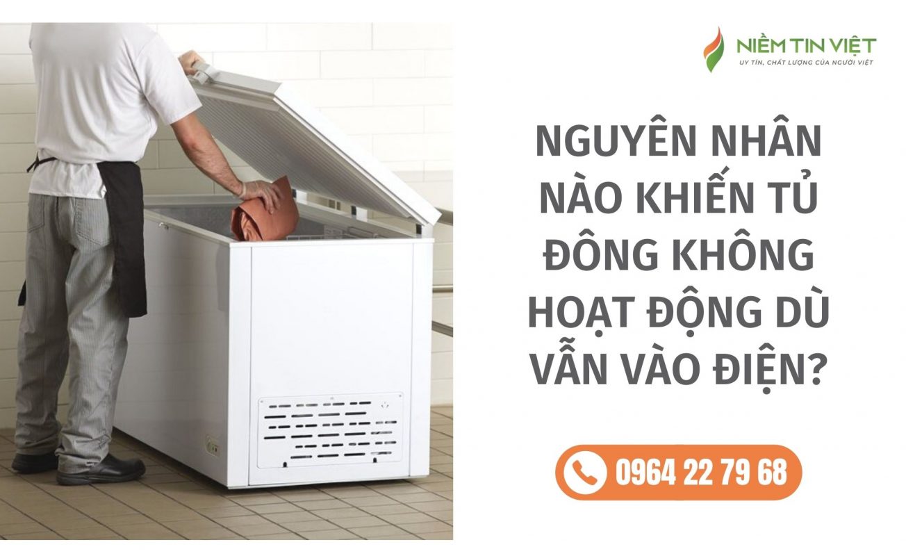 tu dong khong hoat dong » Điện Lạnh Niềm Tin Việt 2025 tu-dong-khong-hoat-dong