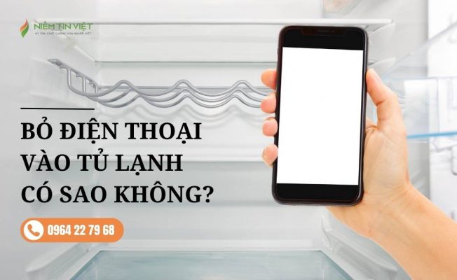 anh bia bo dien thoai vao tu lanh co sao khong