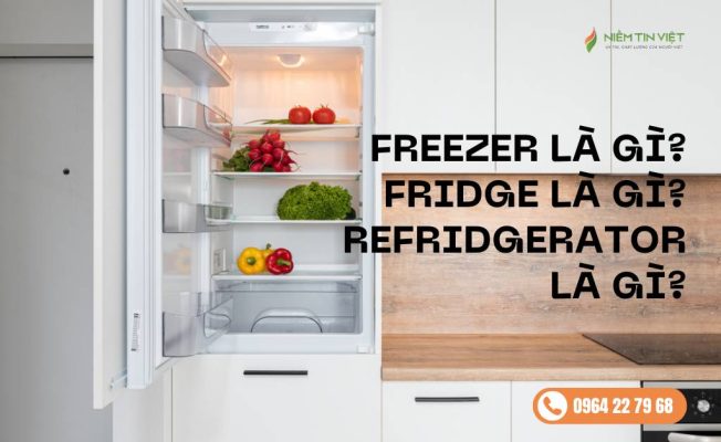 freezer-la-gi-fridge-la-gi