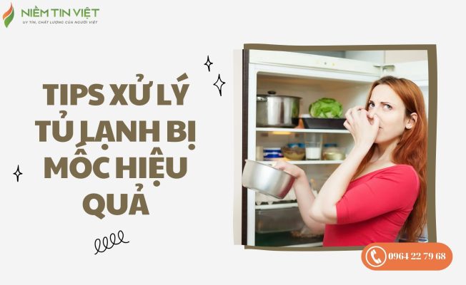 tủ lạnh bị mốc