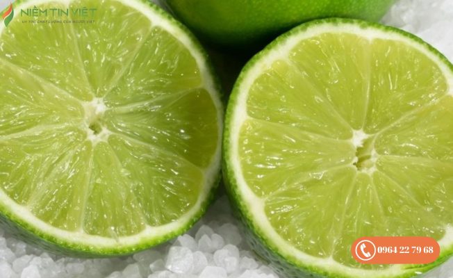 cach khu mui hoi tu dong sanaky 8 » Điện Lạnh Niềm Tin Việt 2025 Cách khử mùi hôi tủ đông Sanaky