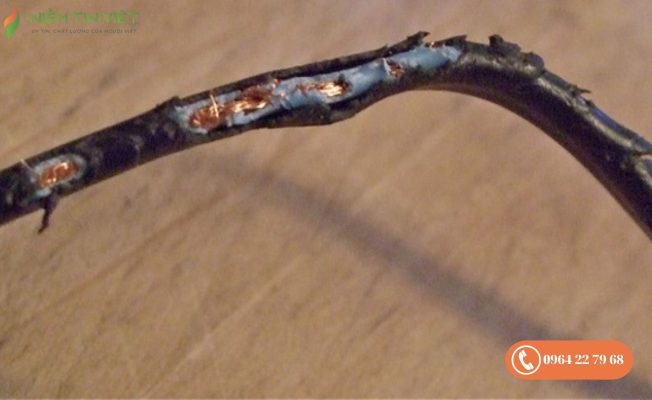 lò vi sóng Electrolux không nóng