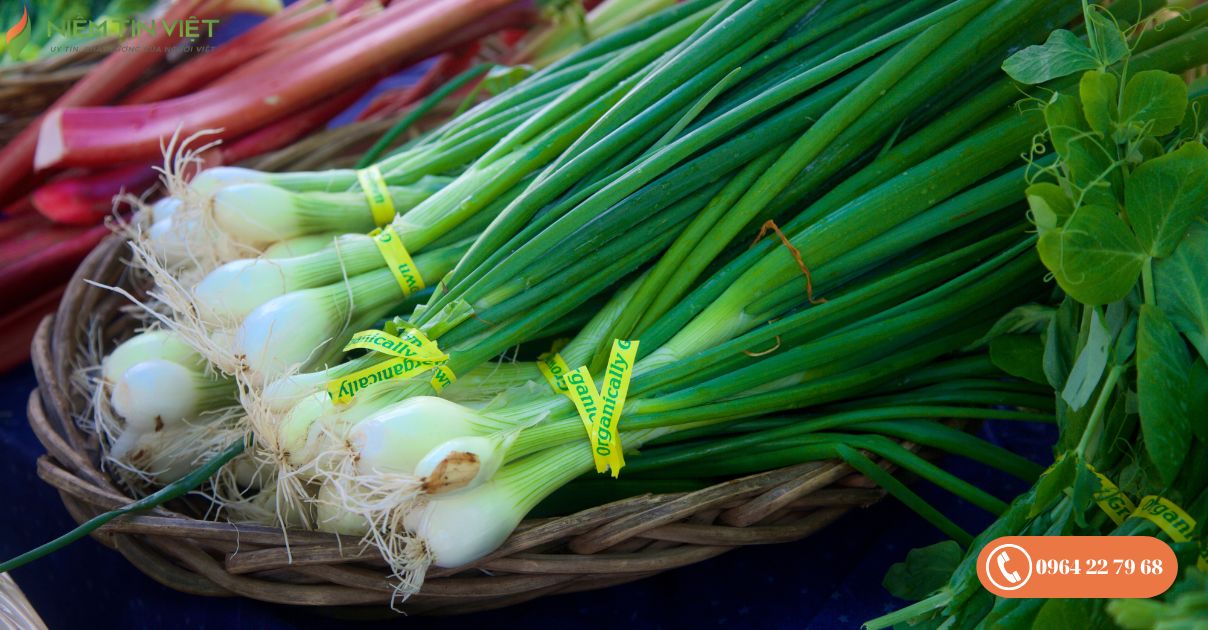 cách bảo quản đồ ăn trong tủ lạnh