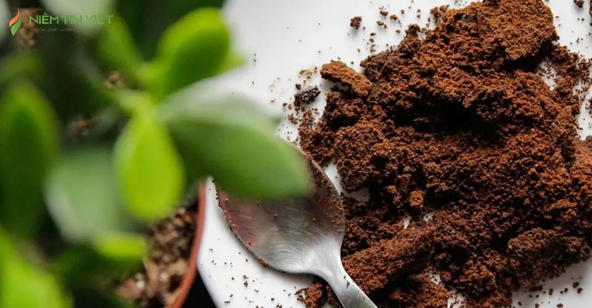 cách khử mùi tủ đông